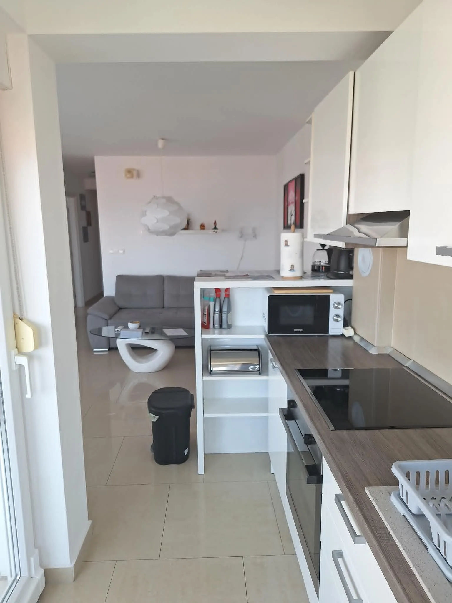Modern kitchen and living room